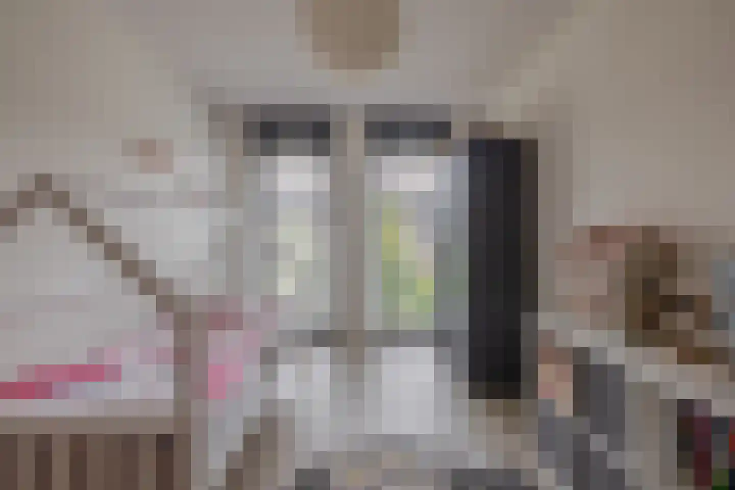 Honingeter 26 Dirksland thumbnail 20