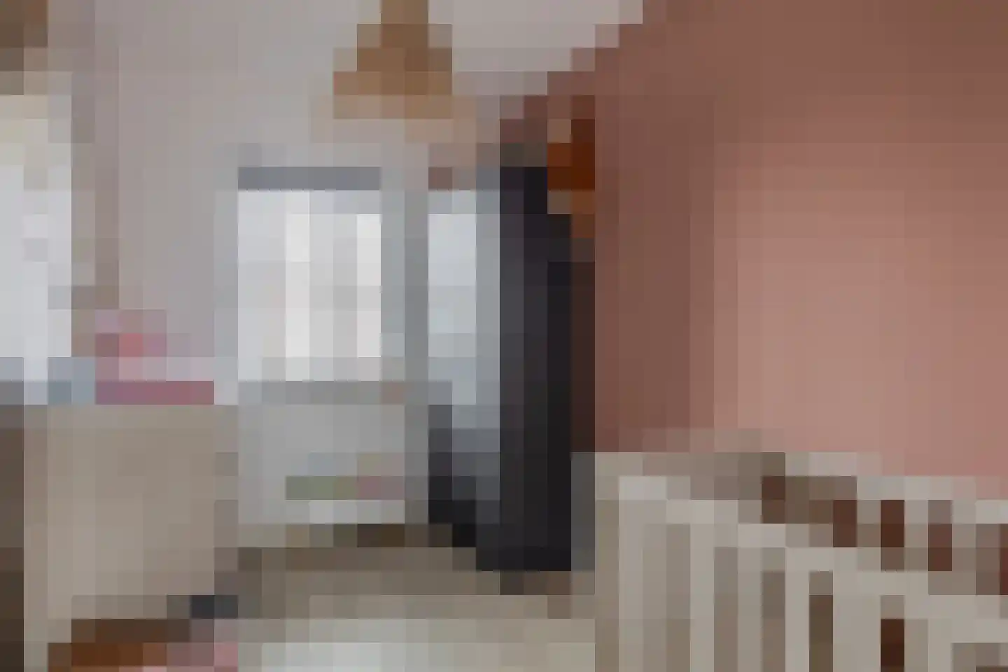 Honingeter 26 Dirksland thumbnail 22