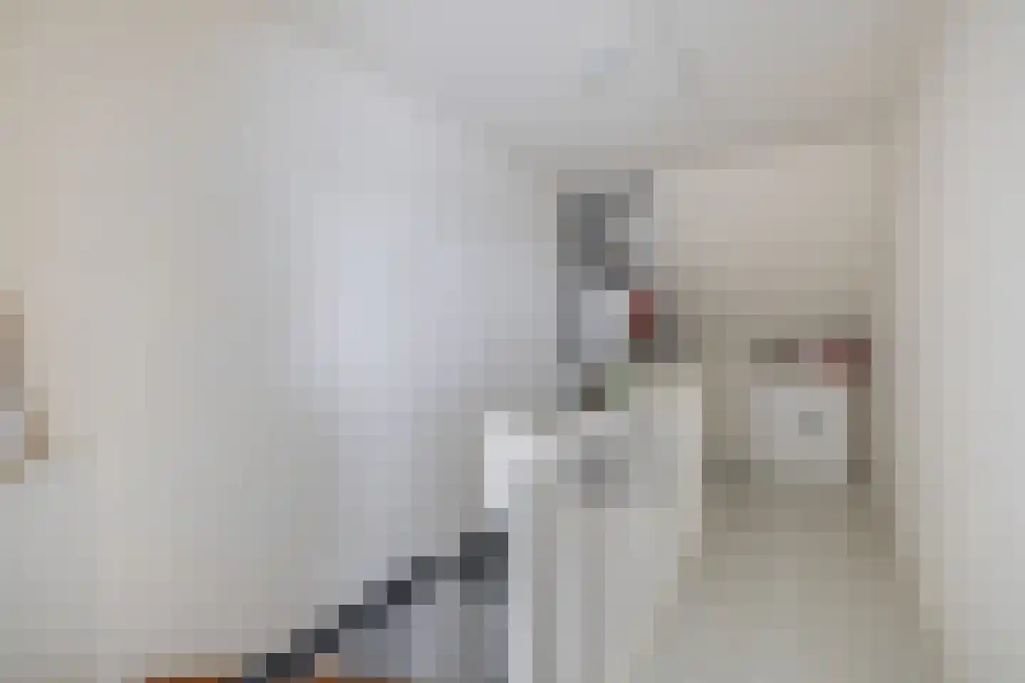 Honingeter 26 Dirksland thumbnail 26