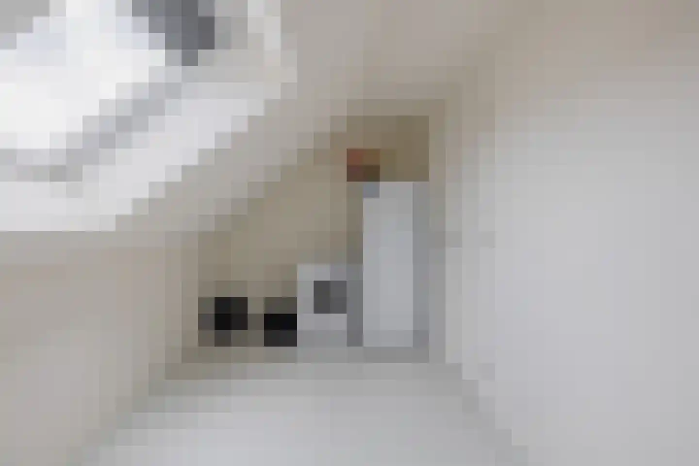 Honingeter 26 Dirksland thumbnail 30