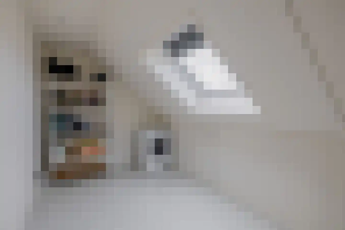 Honingeter 26 Dirksland thumbnail 31