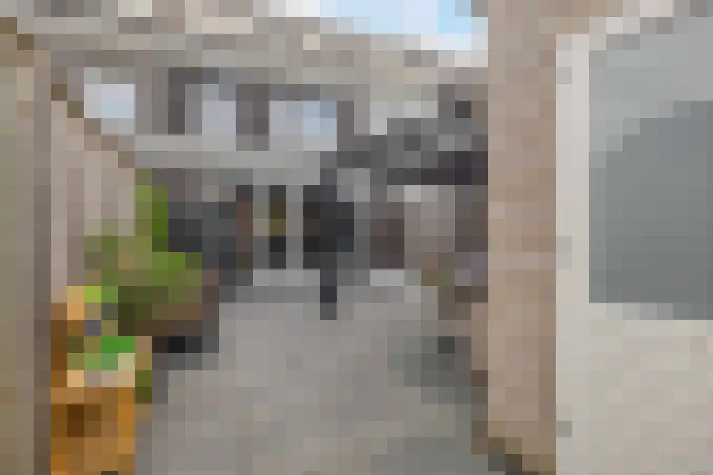 Honingeter 26 Dirksland thumbnail 32