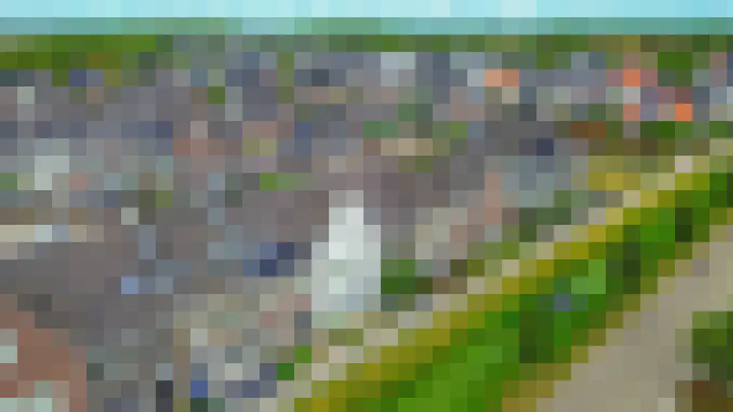 Honingeter 26 Dirksland thumbnail 37