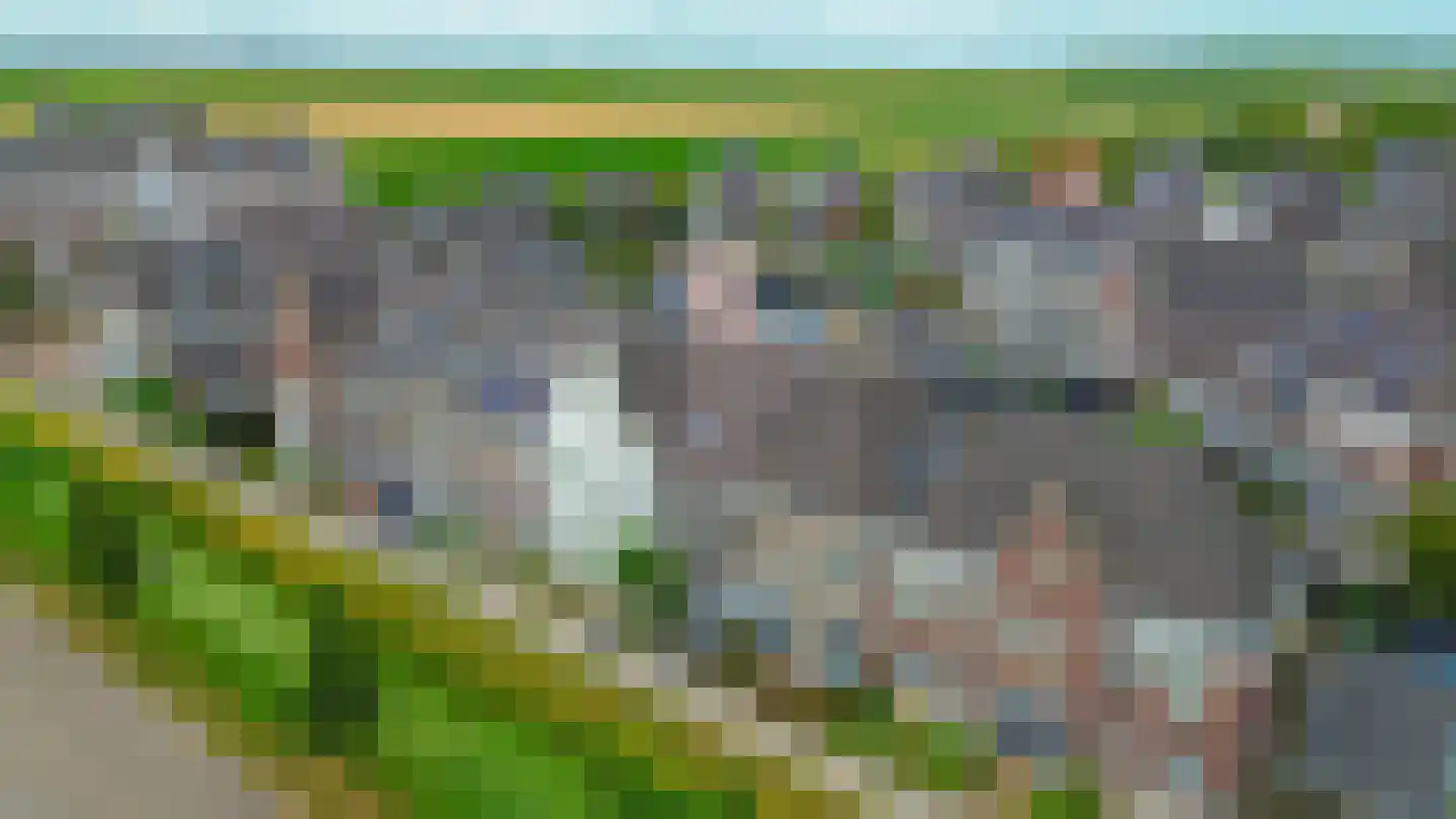 Honingeter 26 Dirksland thumbnail 38