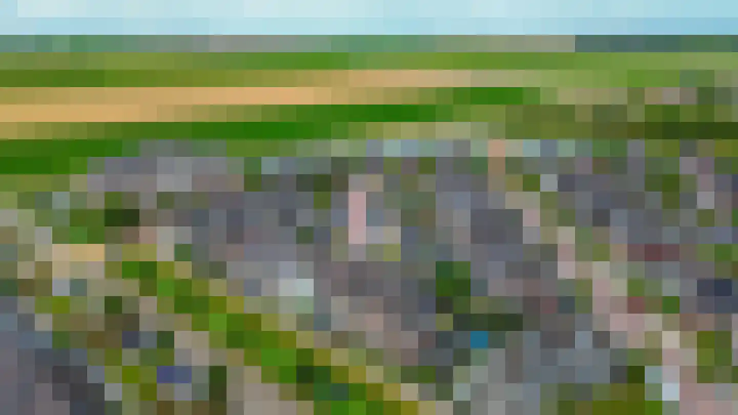 Honingeter 26 Dirksland thumbnail 39