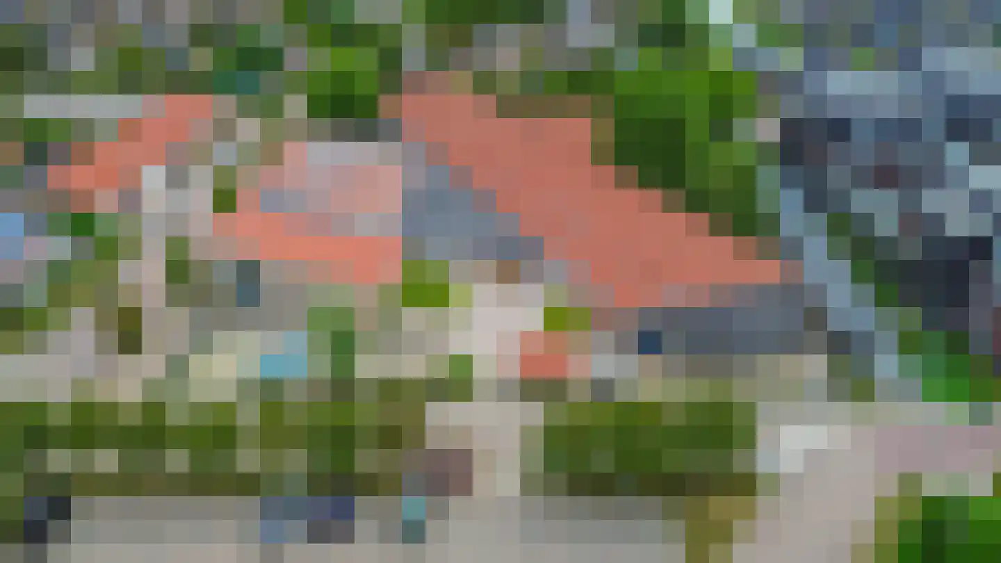 Honingeter 26 Dirksland thumbnail 43