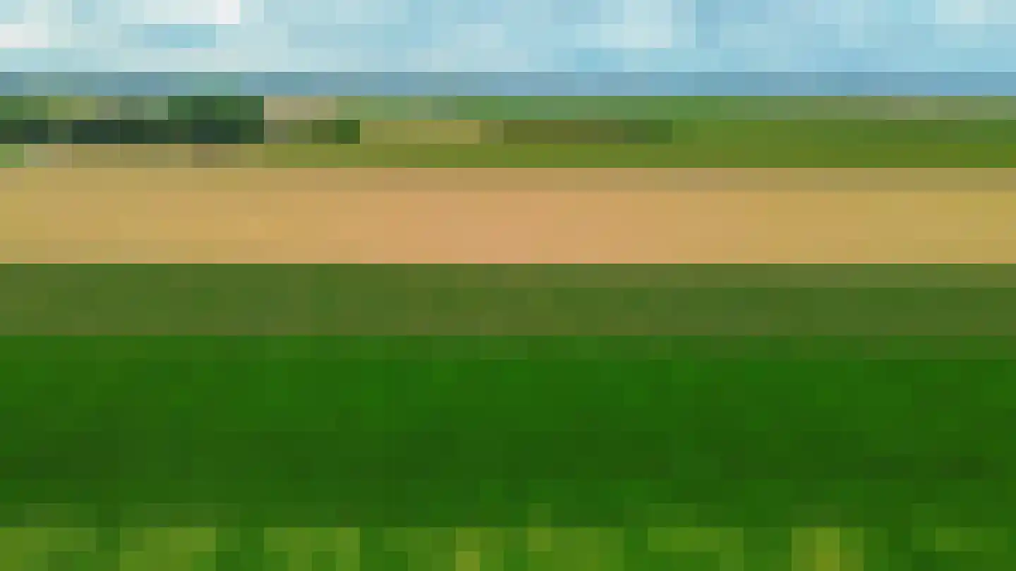 Honingeter 26 Dirksland thumbnail 44