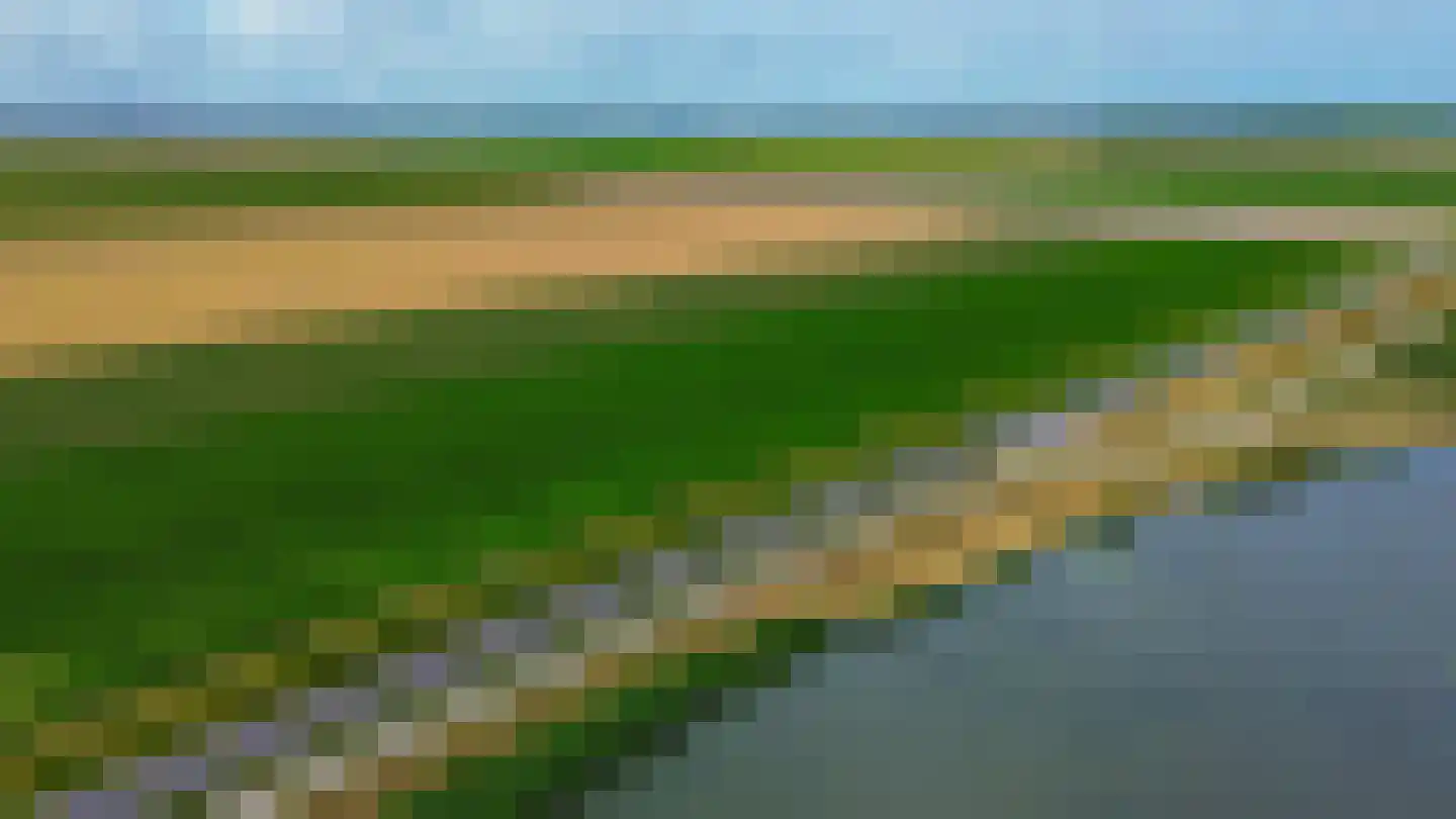 Honingeter 26 Dirksland thumbnail 45