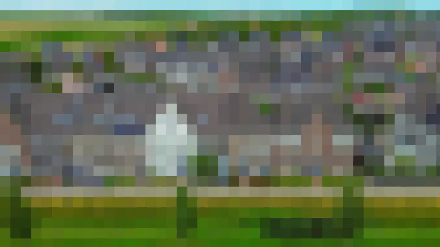 Honingeter 26 Dirksland thumbnail 5