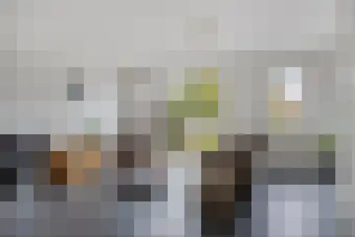 Honingeter 27 Dirksland thumbnail 12