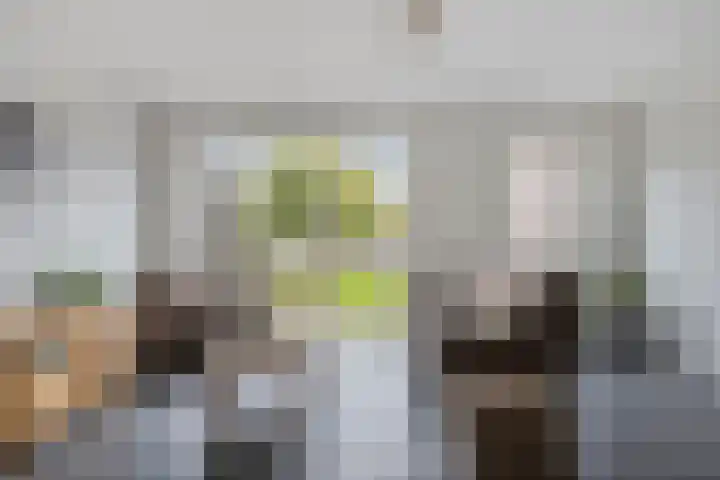 Honingeter 27 Dirksland thumbnail 13
