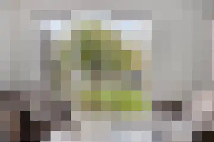 Honingeter 27 Dirksland thumbnail 14