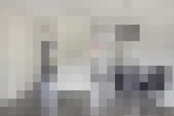 Honingeter 27 Dirksland thumbnail 15
