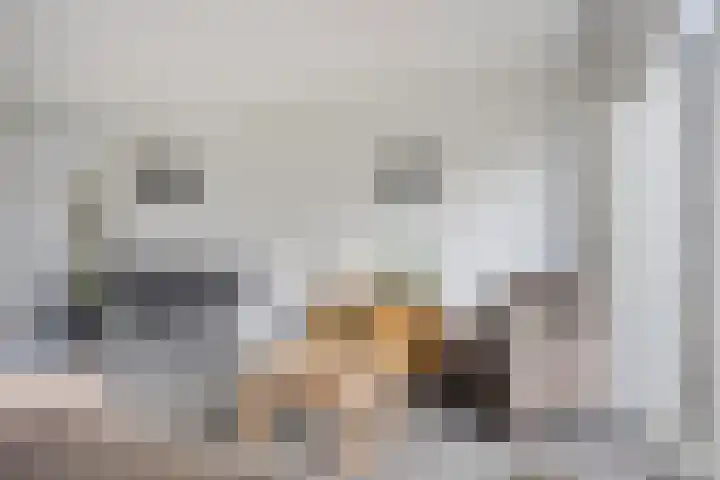 Honingeter 27 Dirksland thumbnail 16