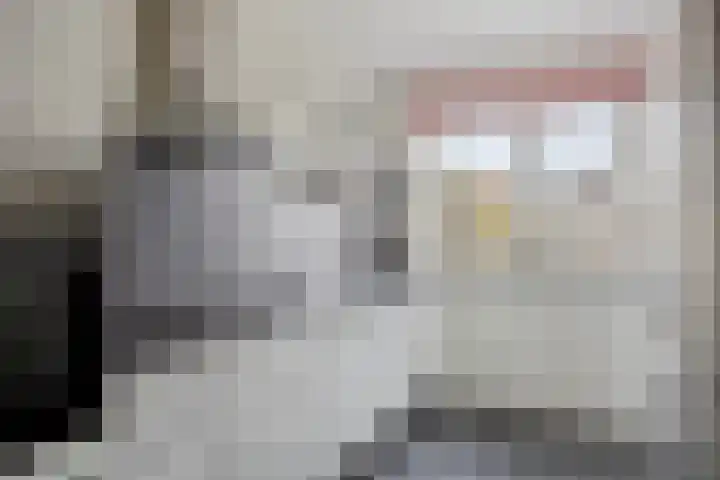 Honingeter 27 Dirksland thumbnail 17