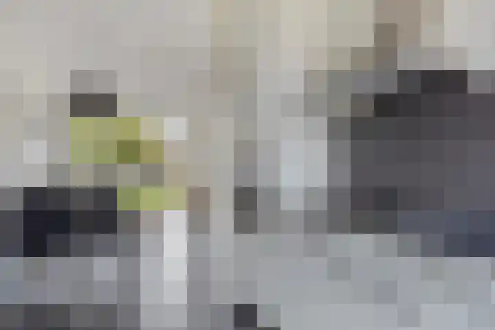 Honingeter 27 Dirksland thumbnail 18