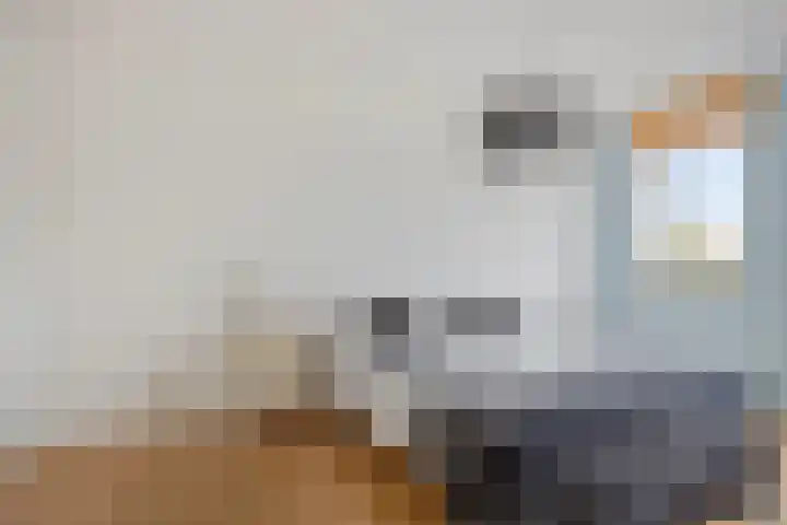 Honingeter 27 Dirksland thumbnail 20