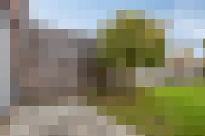 Honingeter 27 Dirksland thumbnail 30