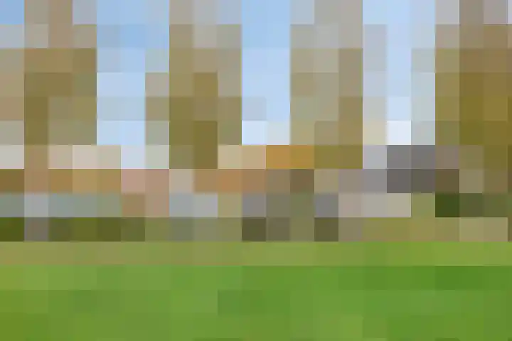 Honingeter 27 Dirksland thumbnail 31