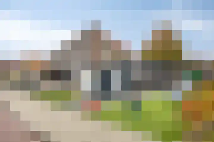 Honingeter 27 Dirksland thumbnail 32