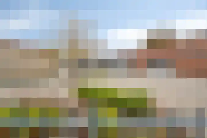 Honingeter 27 Dirksland thumbnail 33