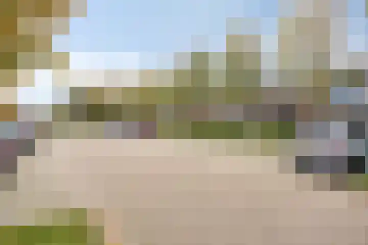 Honingeter 27 Dirksland thumbnail 34