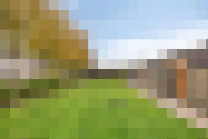 Honingeter 27 Dirksland thumbnail 35