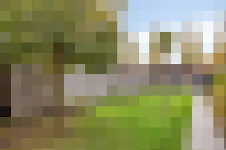 Honingeter 27 Dirksland thumbnail 4