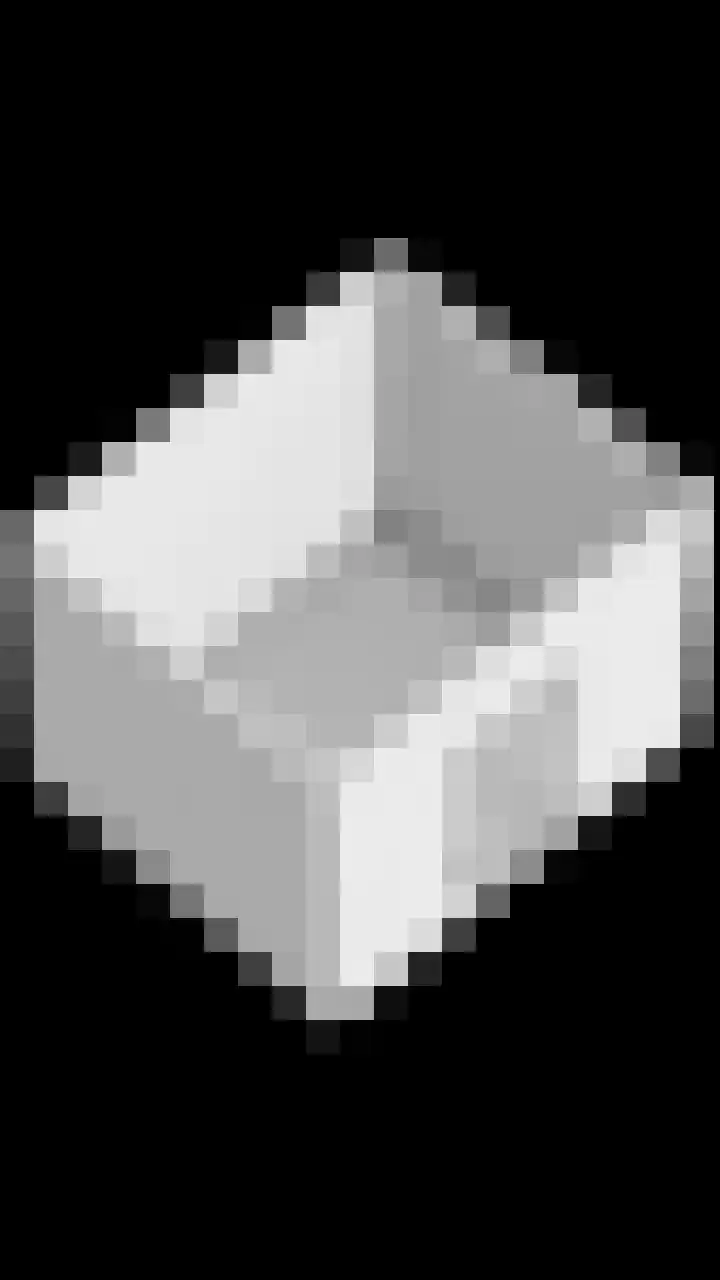 Honingeter 27 Dirksland thumbnail 43