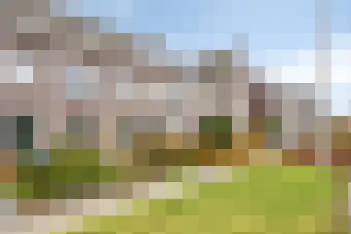 Honingeter 27 Dirksland thumbnail 6