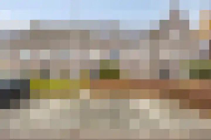 Honingeter 27 Dirksland thumbnail 7