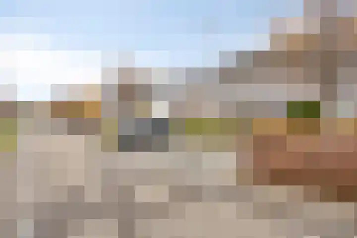 Honingeter 27 Dirksland thumbnail 8