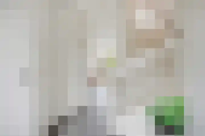 Honingeter 27 Dirksland thumbnail 9