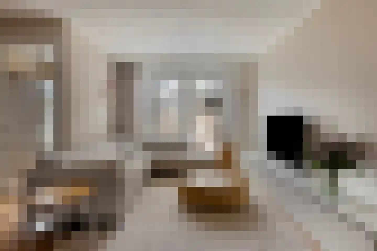 Honingeter 4 Dirksland thumbnail 10