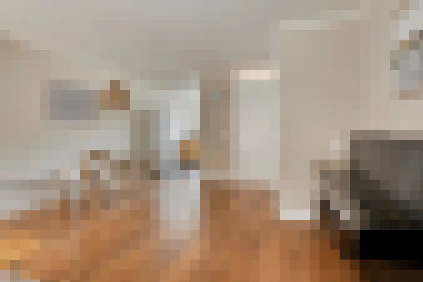 Honingeter 4 Dirksland thumbnail 12