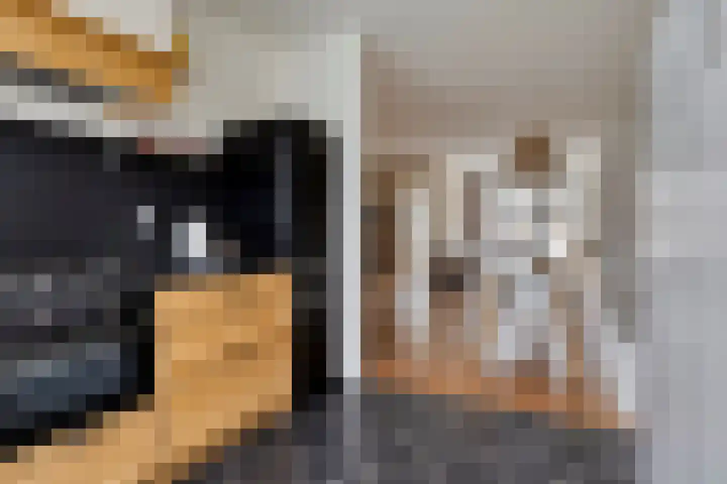 Honingeter 4 Dirksland thumbnail 16