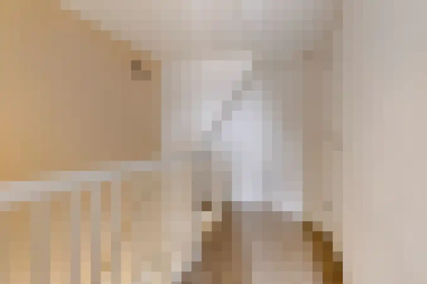 Honingeter 4 Dirksland thumbnail 31