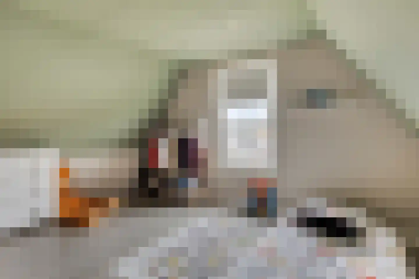 Honingeter 4 Dirksland thumbnail 32