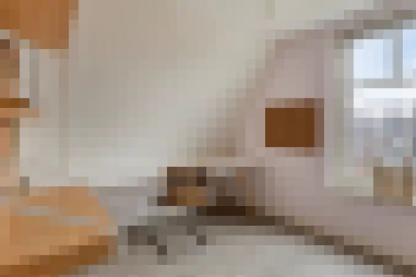 Honingeter 4 Dirksland thumbnail 36