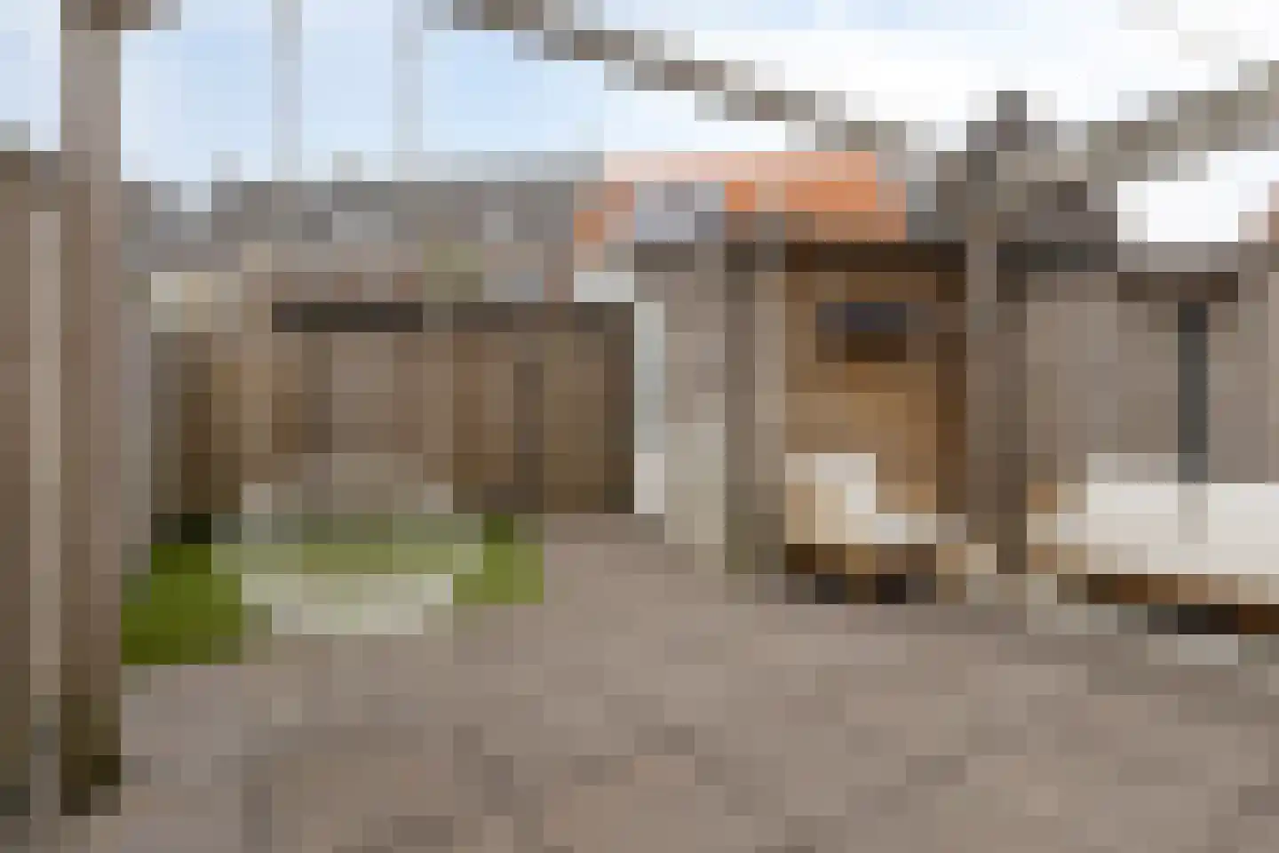 Honingeter 4 Dirksland thumbnail 37