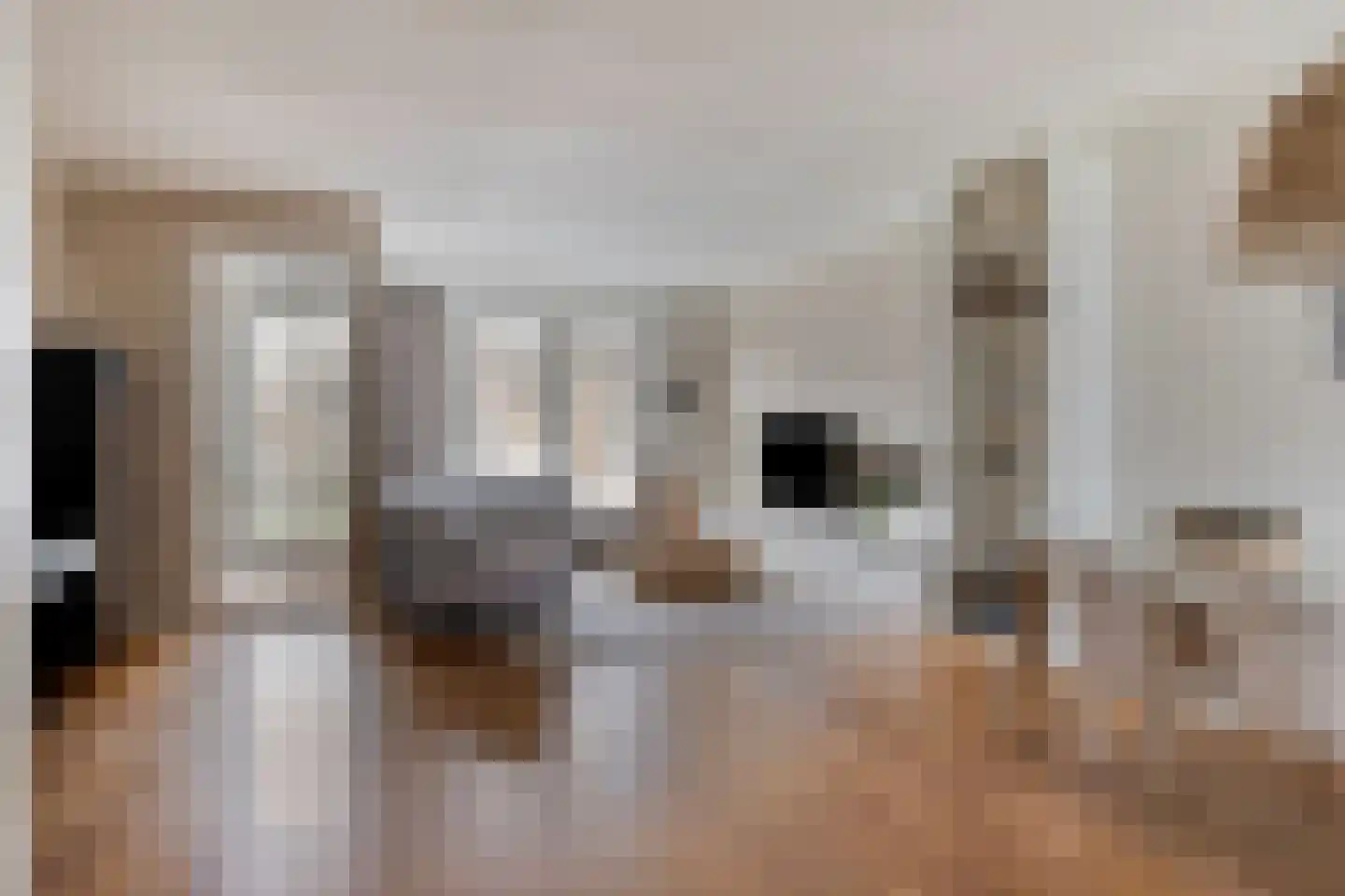Honingeter 4 Dirksland thumbnail 8