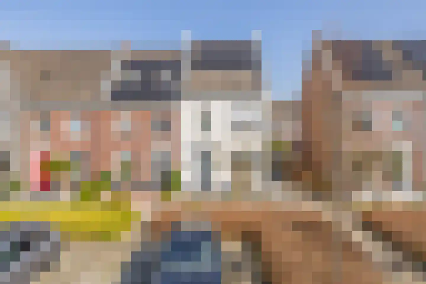 Honingeter 49 in Dirksland