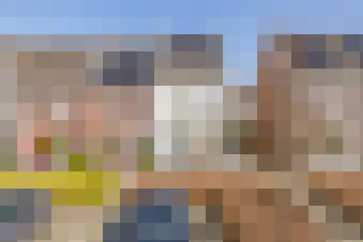 Honingeter 49 Dirksland