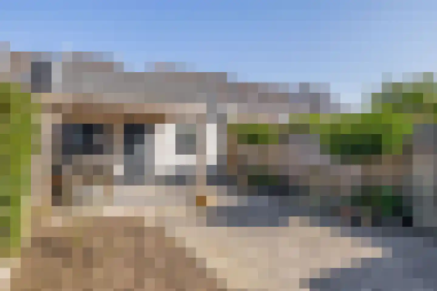 Honingeter 49 Dirksland thumbnail 24