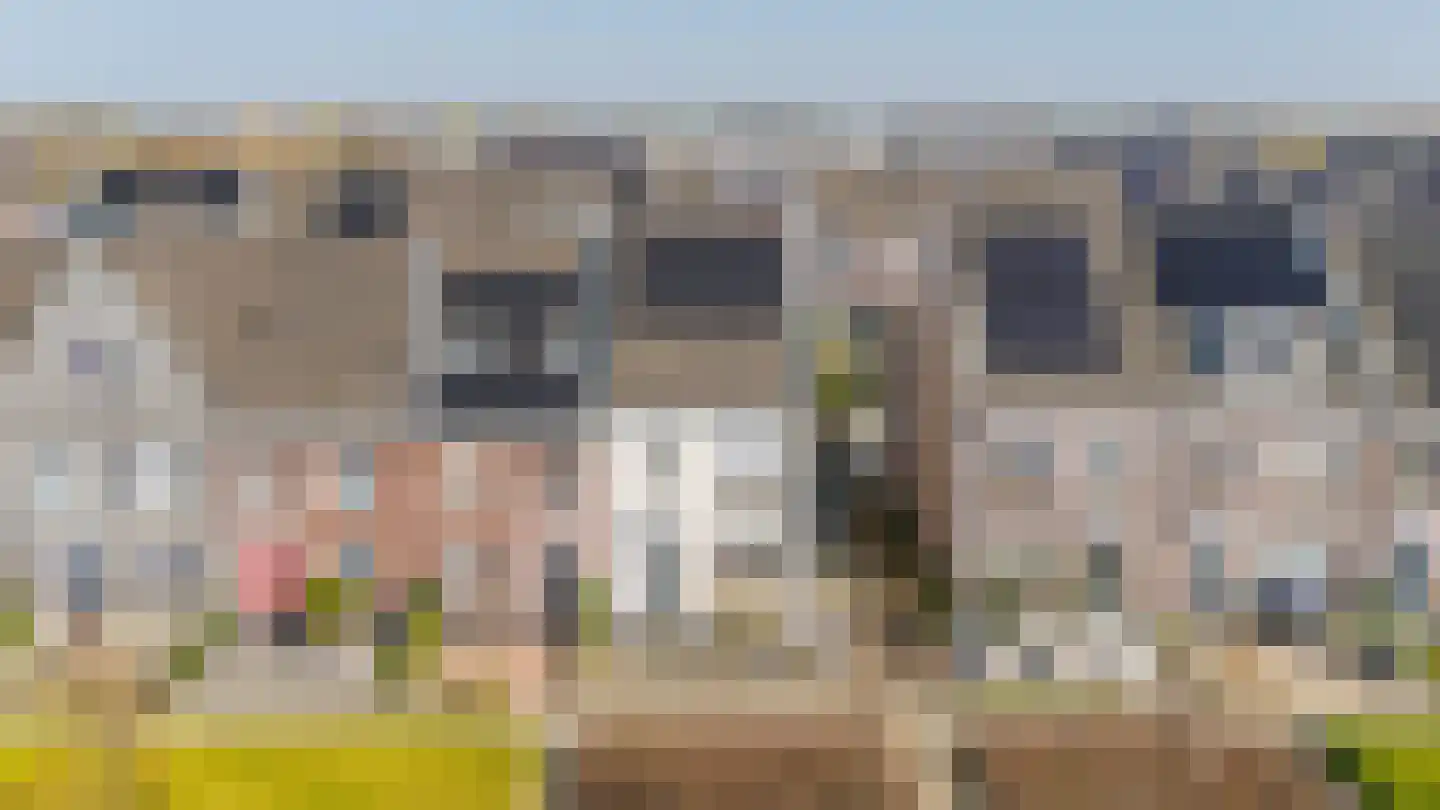 Honingeter 49 Dirksland thumbnail 26