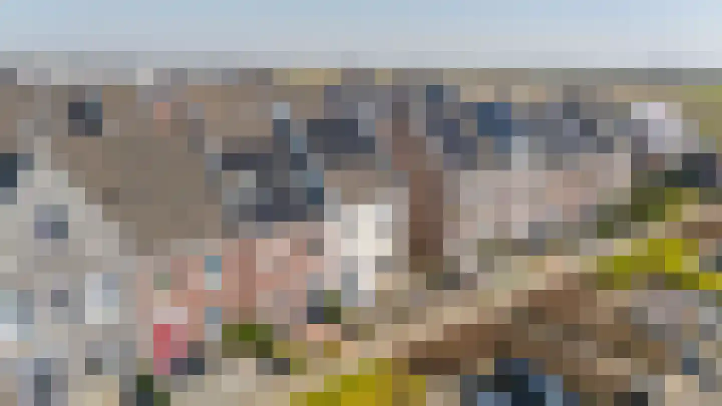 Honingeter 49 Dirksland thumbnail 27