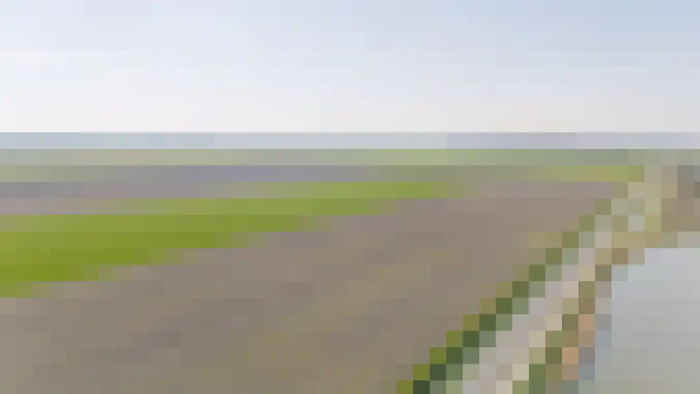 Honingeter 49 Dirksland thumbnail 29
