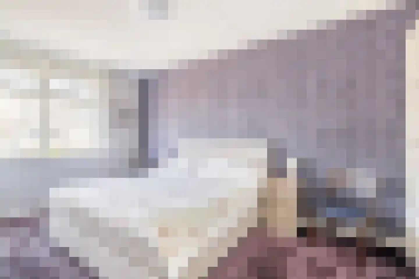 Honingeter 49 Dirksland thumbnail 4