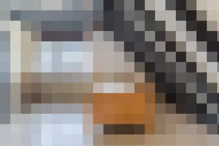 Honingklaver 1 Culemborg thumbnail 22