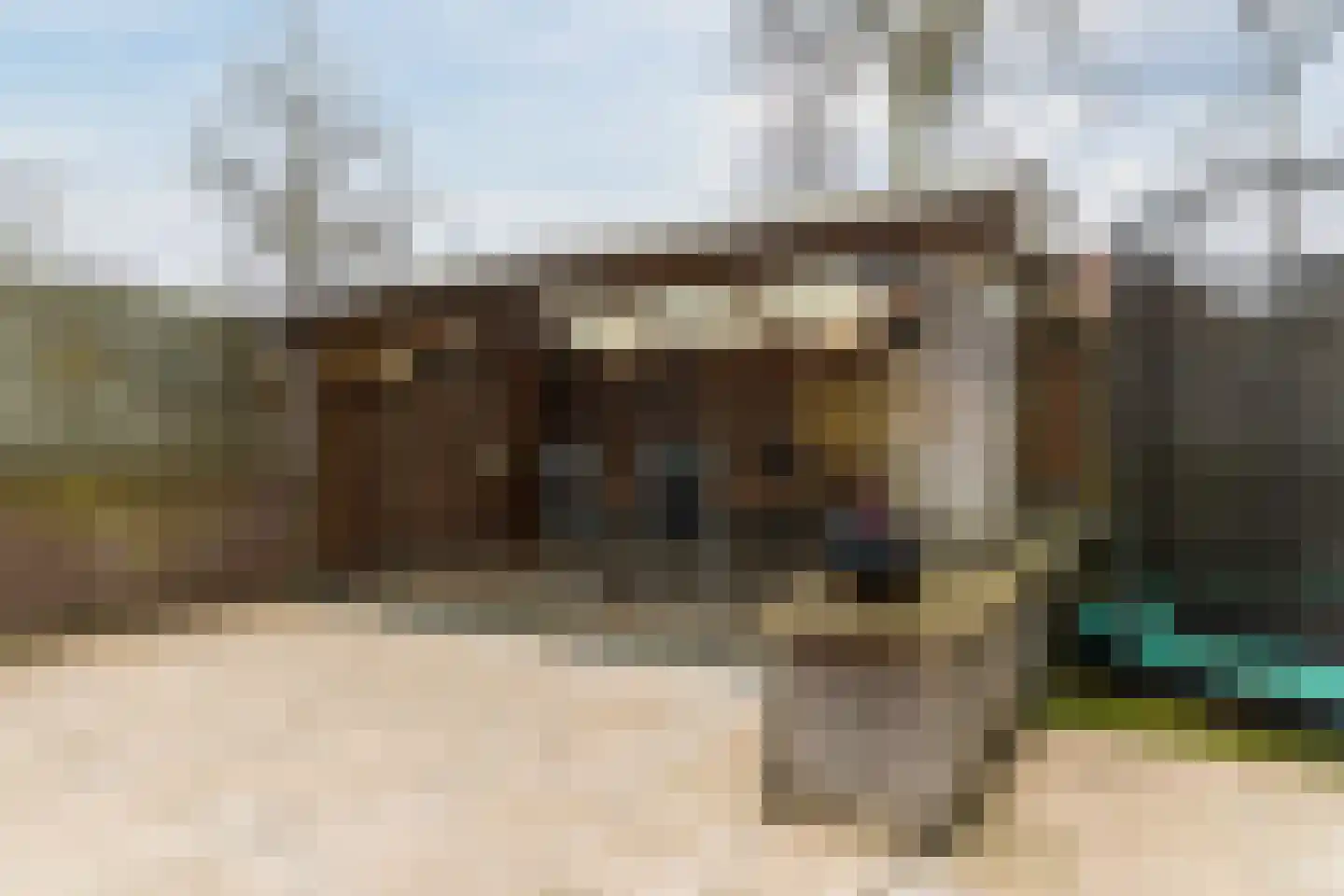 Honingklaver 1 Culemborg thumbnail 28
